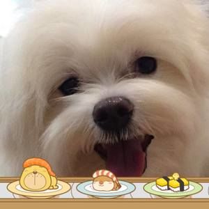 Meet your Posher, Daisy